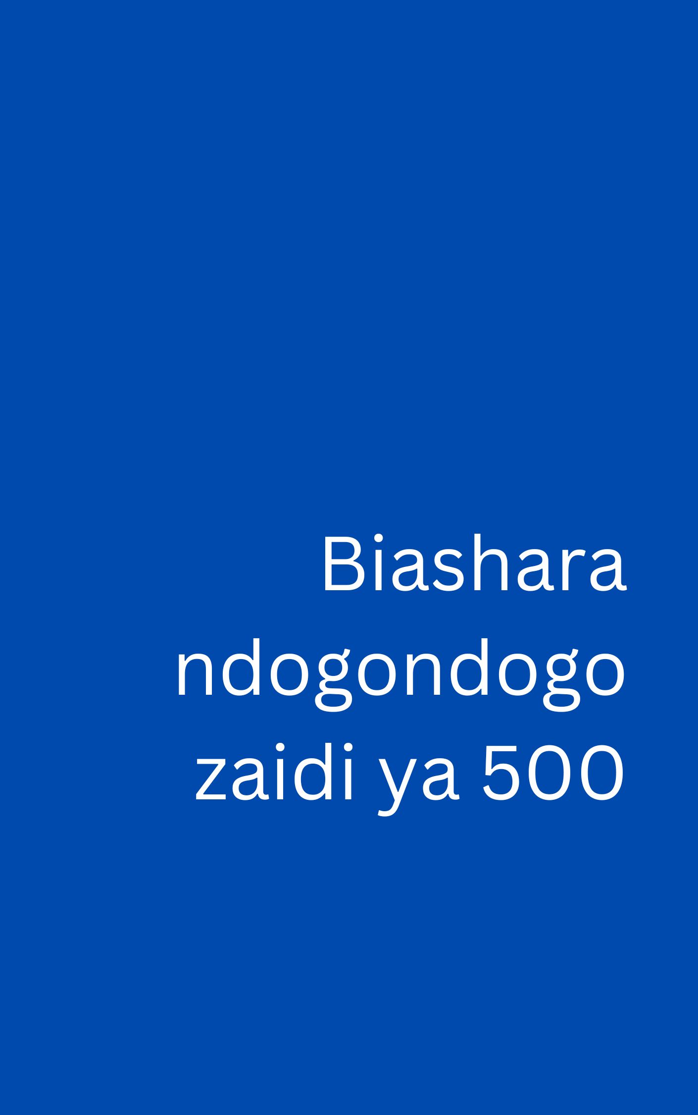 Biashara Ndogondogo Zaidi ya 500