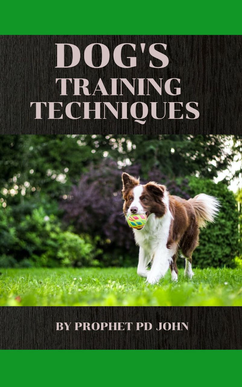 Dogs Training Techniques