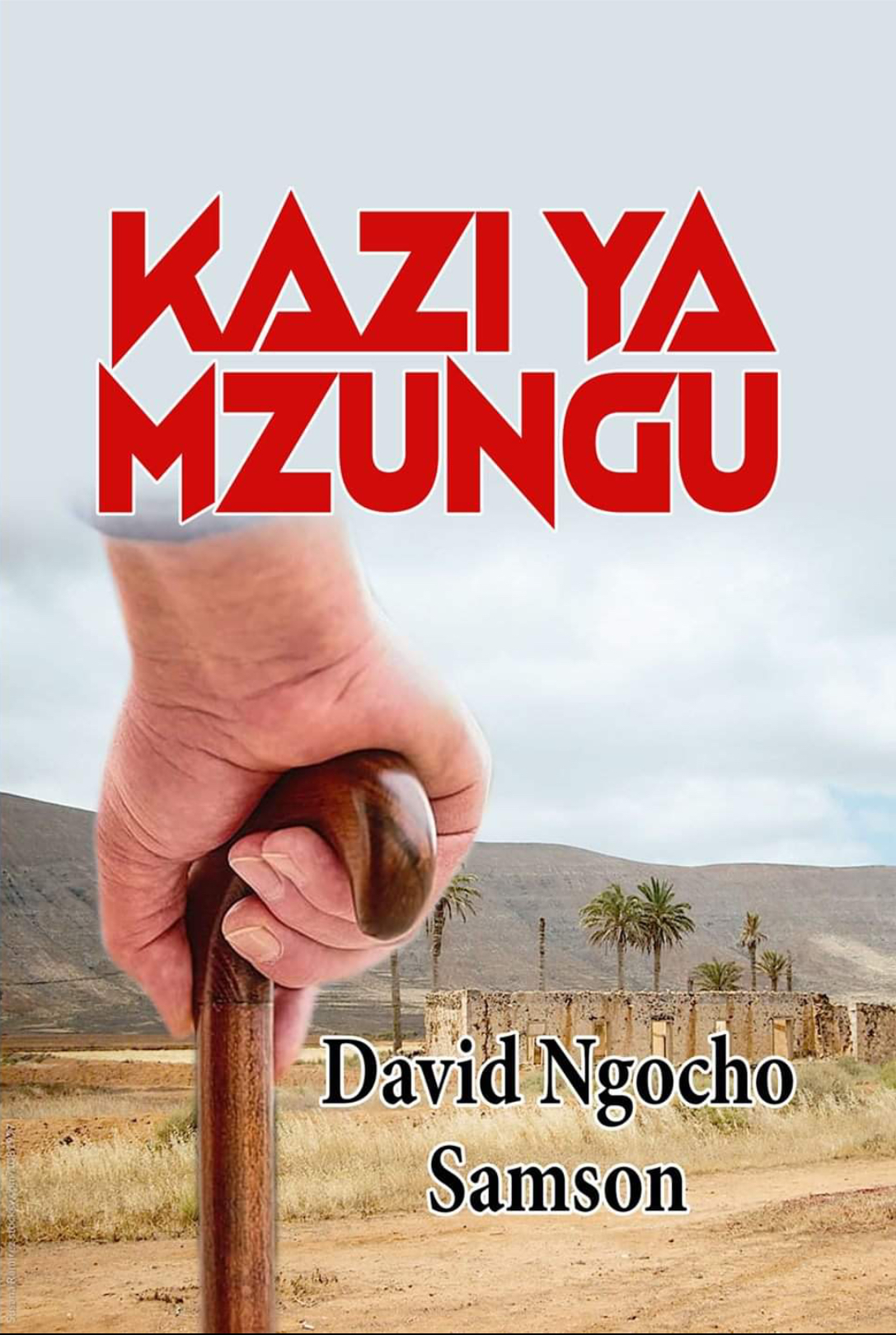 KAZI YA MZUNGU