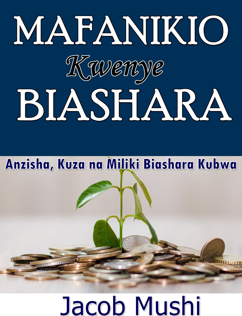 Mafanikio Kwenye Biashara